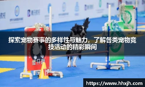 万向娱乐
